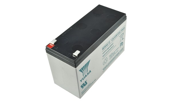 Valve Regulated Lead Acid Battery