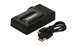 GV-D1000 (Video Walkman) Cargador